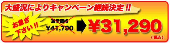 特別価格31290円